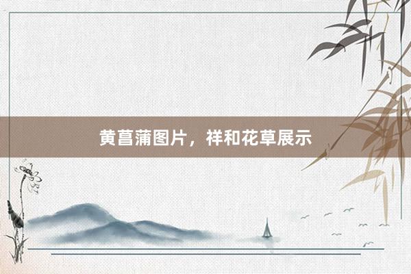 黄菖蒲图片，祥和花草展示