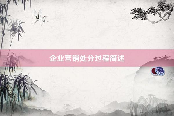 企业营销处分过程简述